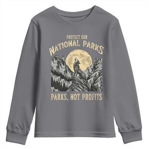 Protect Our National Parks Youth Sweatshirt Parks Not Profits Wolf Retro Graphic TS02 Charcoal Print Your Wear