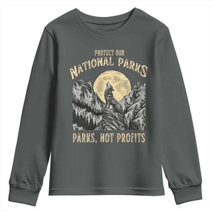 Protect Our National Parks Youth Sweatshirt Parks Not Profits Wolf Retro Graphic TS02 Dark Heather Print Your Wear