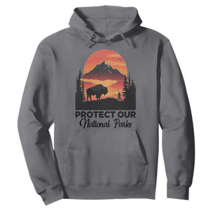 Protect Our National Parks Hoodie Bison Buffalo Vintage Graphic TS02 Charcoal Print Your Wear