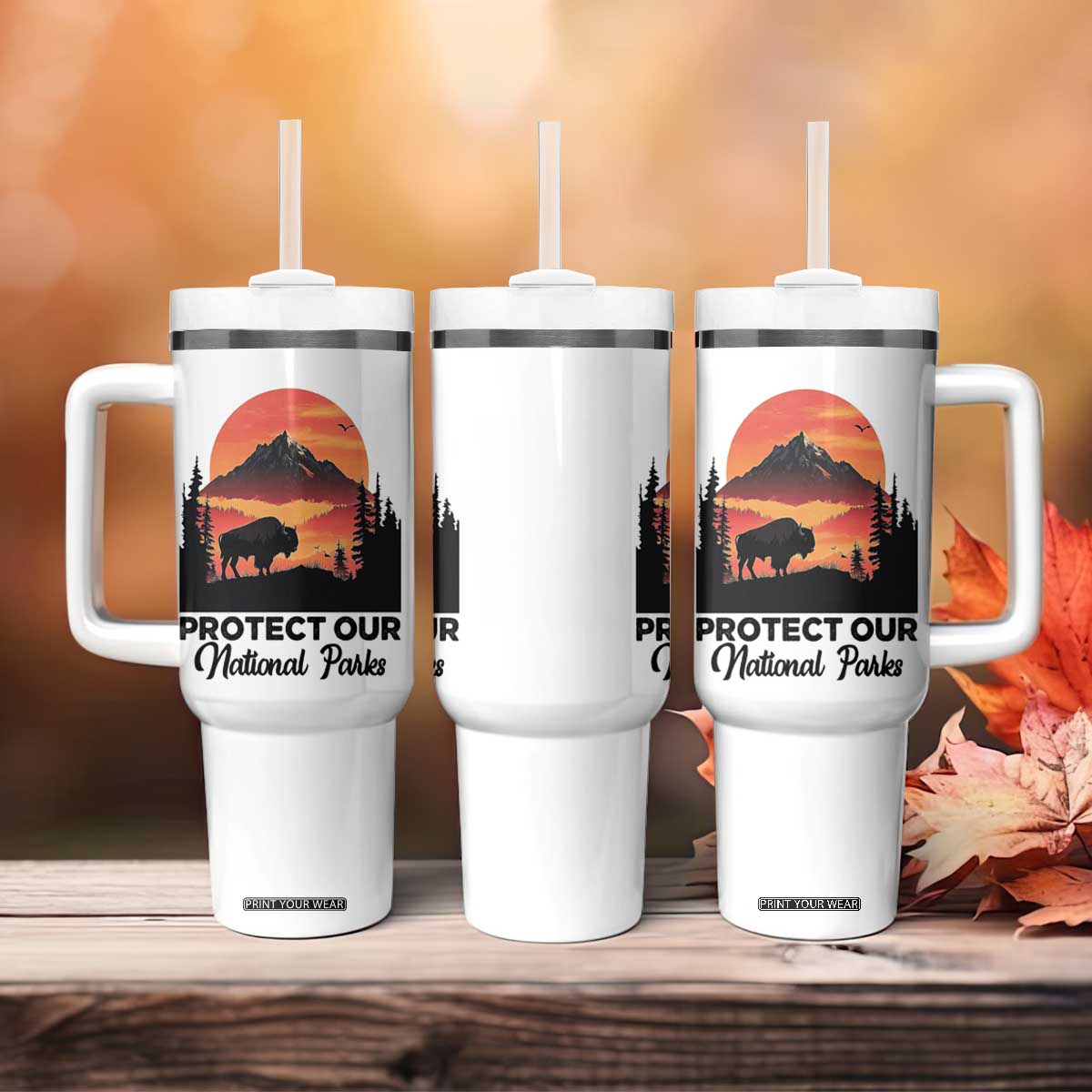 Protect Our National Parks Tumbler With Handle Bison Buffalo Vintage Graphic TS02 Print Your Wear