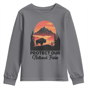 Protect Our National Parks Youth Sweatshirt Bison Buffalo Vintage Graphic TS02 Charcoal Print Your Wear