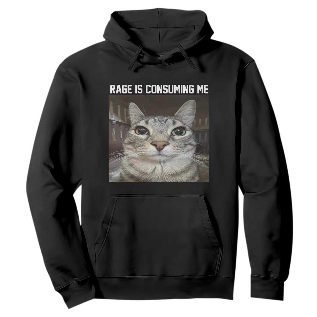 Funny Silly Cat Meme Hoodie Rage Is Consuming Me Staring TS02 Black Print Your Wear