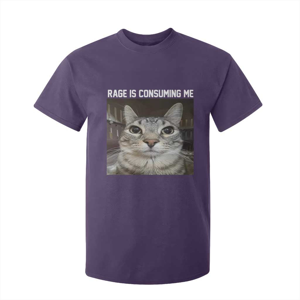 Funny Silly Cat Meme T Shirt For Kid Rage Is Consuming Me Staring TS02 Purple Print Your Wear