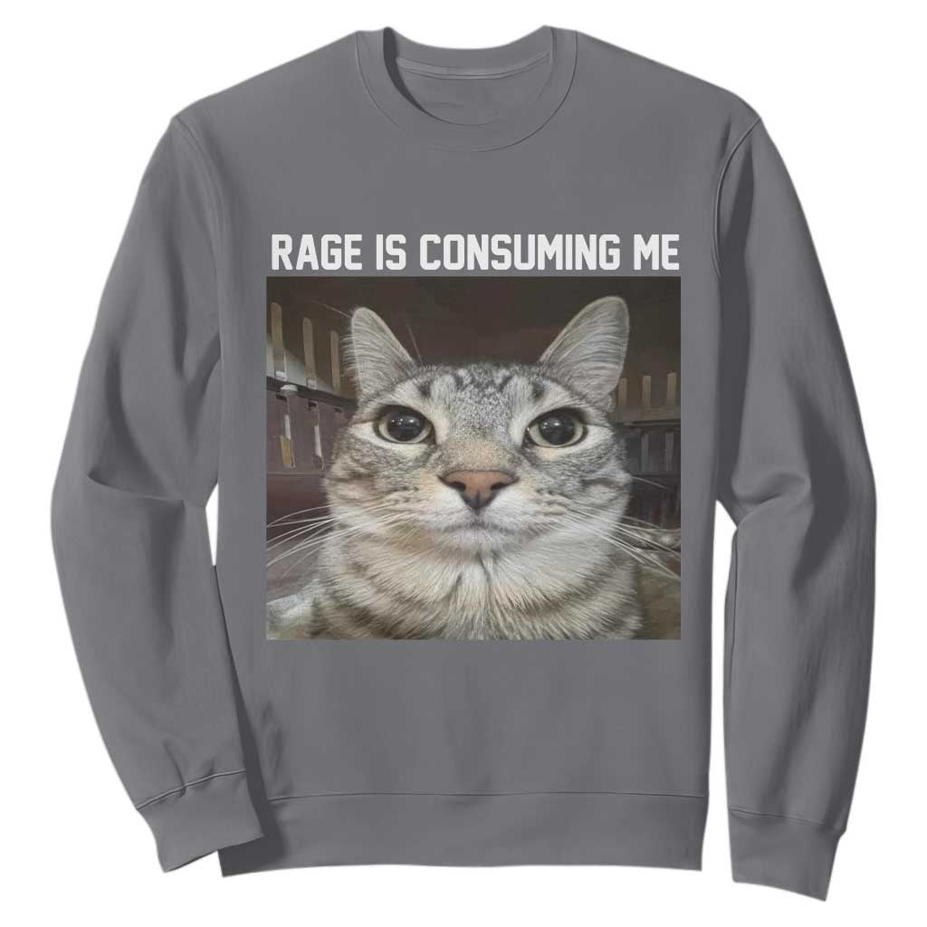 Funny Silly Cat Meme Sweatshirt Rage Is Consuming Me Staring TS02 Charcoal Print Your Wear