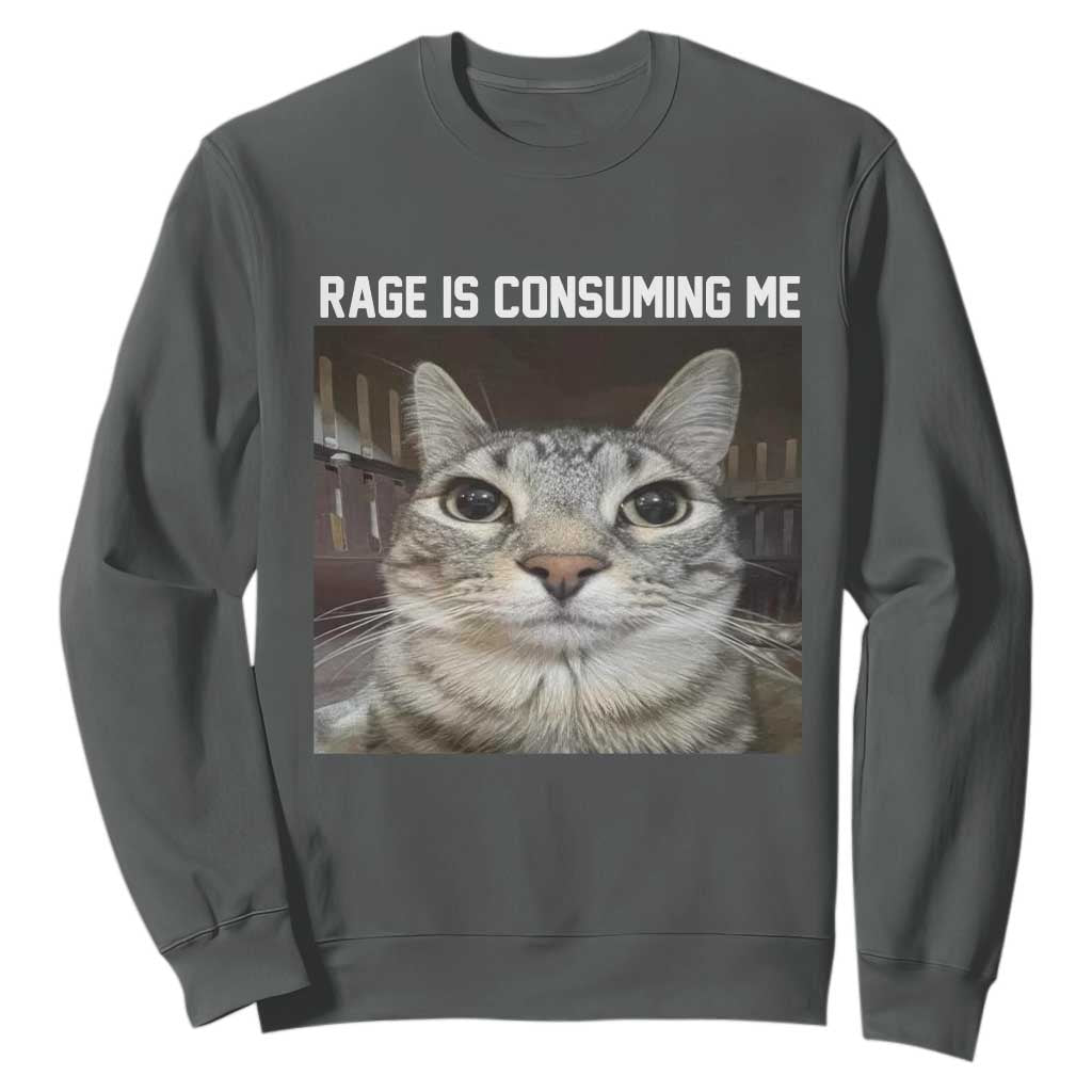 Funny Silly Cat Meme Sweatshirt Rage Is Consuming Me Staring TS02 Dark Heather Print Your Wear