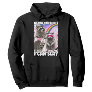 Funny Raccoon Meme Hoodie Idk How Much Longer I Can Slay TS02 Black Print Your Wear