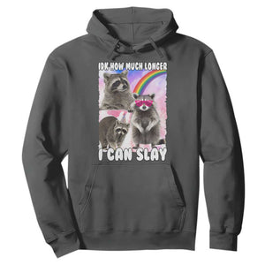 Funny Raccoon Meme Hoodie Idk How Much Longer I Can Slay TS02 Dark Heather Print Your Wear