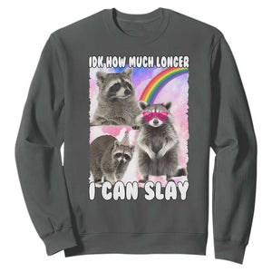 Funny Raccoon Meme Sweatshirt Idk How Much Longer I Can Slay TS02 Dark Heather Print Your Wear