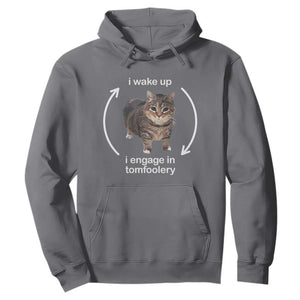 Funny Silly Cat Meme Hoodie I Wake Up I Engage In Tomfoolery TS02 Charcoal Print Your Wear