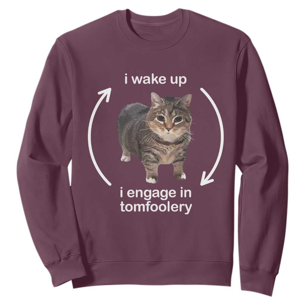 Funny Silly Cat Meme Sweatshirt I Wake Up I Engage In Tomfoolery TS02 Maroon Print Your Wear