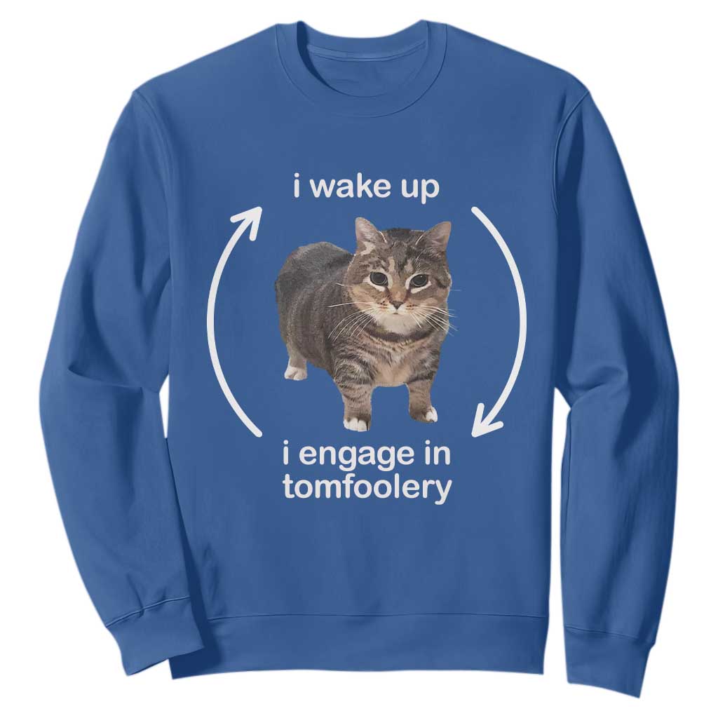 Funny Silly Cat Meme Sweatshirt I Wake Up I Engage In Tomfoolery TS02 Royal Blue Print Your Wear