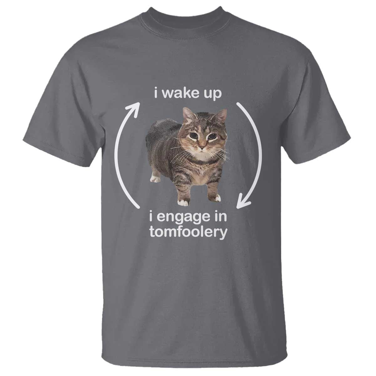 Funny Silly Cat Meme T Shirt I Wake Up I Engage In Tomfoolery TS02 Charcoal Print Your Wear