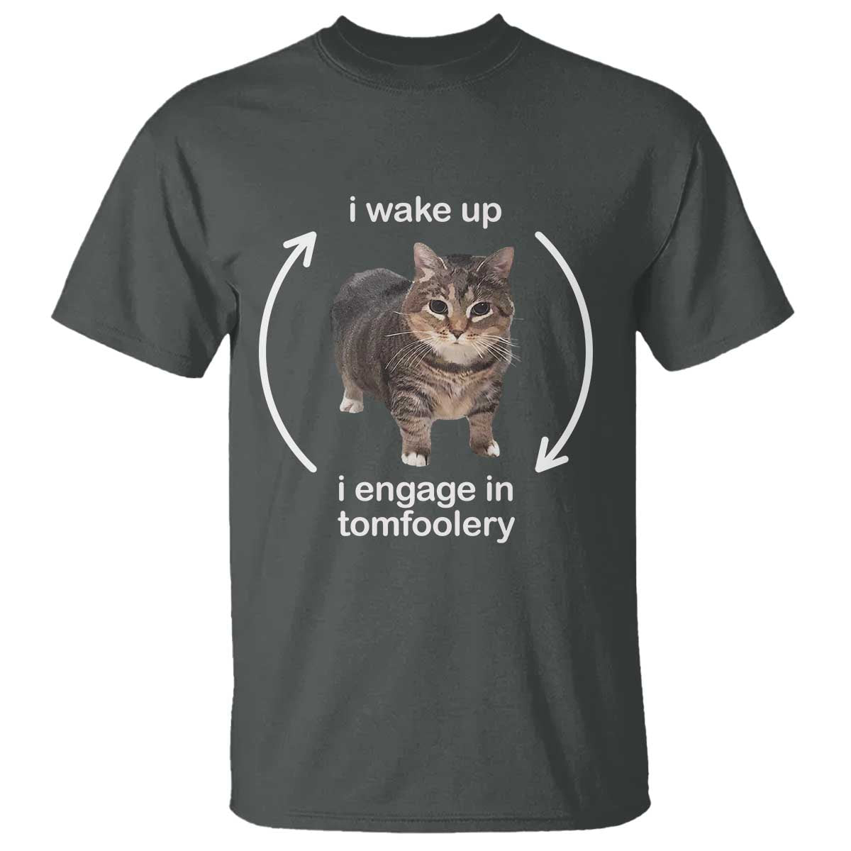 Funny Silly Cat Meme T Shirt I Wake Up I Engage In Tomfoolery TS02 Dark Heather Print Your Wear