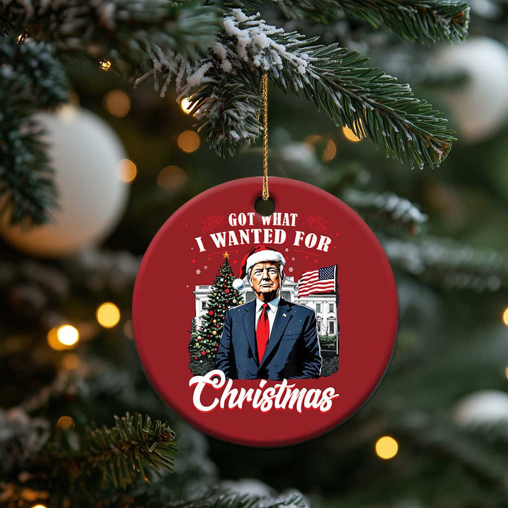 Xmas Trump Christmas Ornament Got What I Wanted Fot Xmas 2024 President American Flag TS02 Print Your Wear