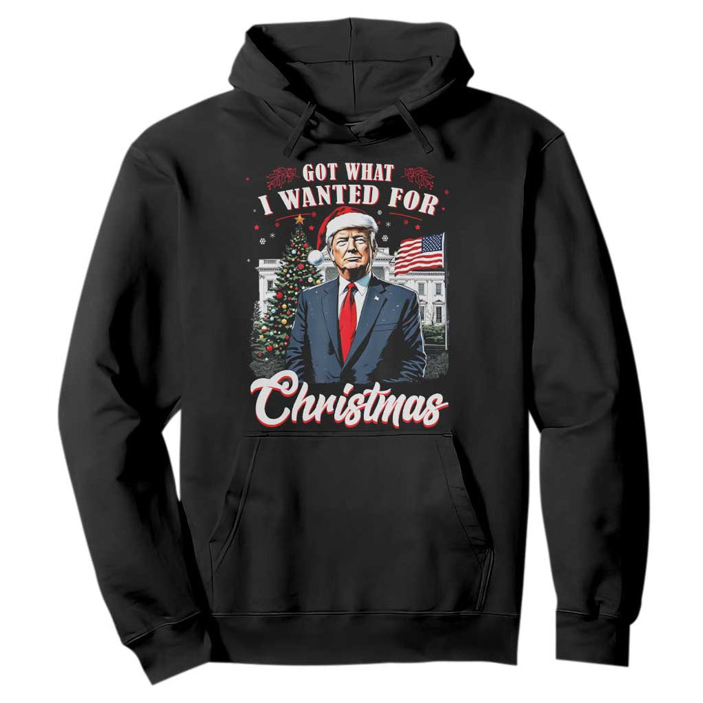 Christmas Trump Hoodie Got What I Wanted For Xmas 2024 President American Flag TS02 Black Print Your Wear