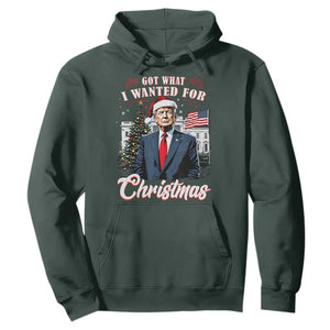 Christmas Trump Hoodie Got What I Wanted For Xmas 2024 President American Flag TS02 Dark Forest Green Print Your Wear