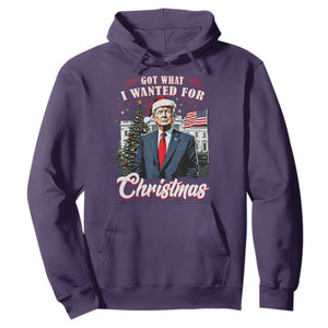 Christmas Trump Hoodie Got What I Wanted For Xmas 2024 President American Flag TS02 Purple Print Your Wear