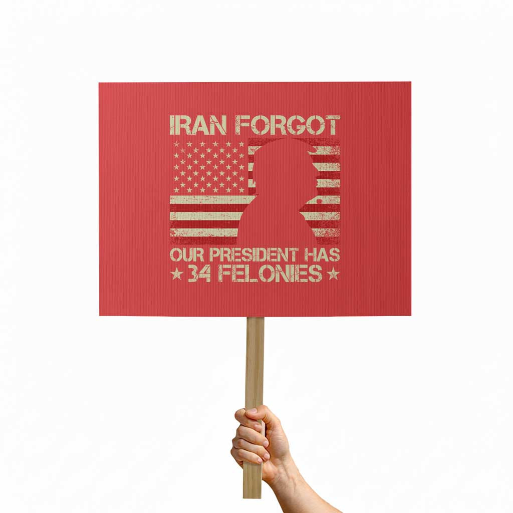 Iran Forgot Our President Has 34 Felonies Protest Sign Funny Political Satire Patriotic Flag TS02 Horizontal 18