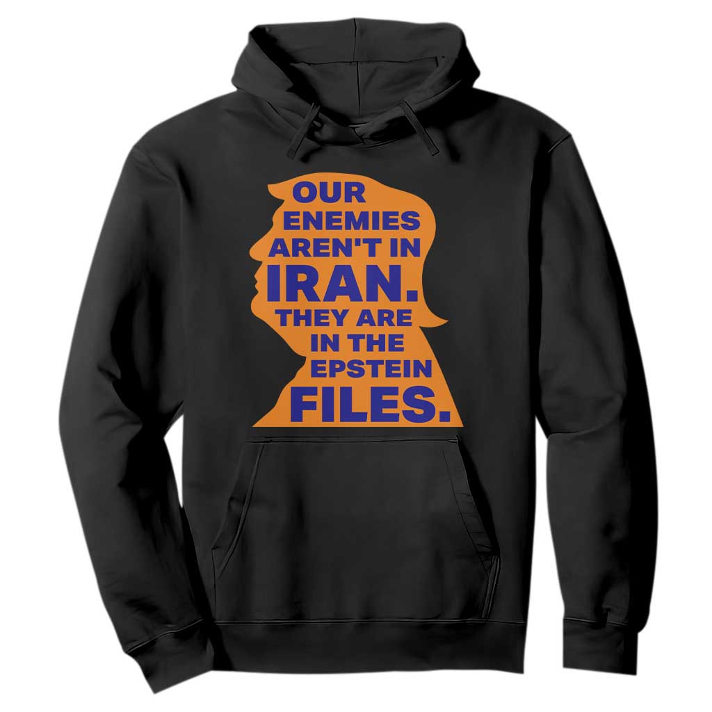 Our Enemies Aren't In Iran Hoodie Epstein Files Silhouette Political Satire TS02 Black Print Your Wear