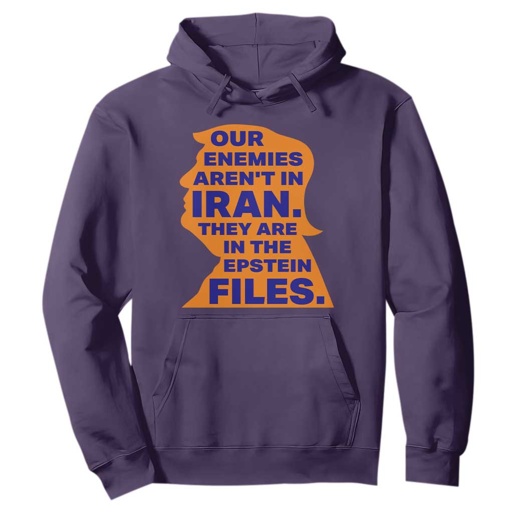 Our Enemies Aren't In Iran Hoodie Epstein Files Silhouette Political Satire TS02 Purple Print Your Wear