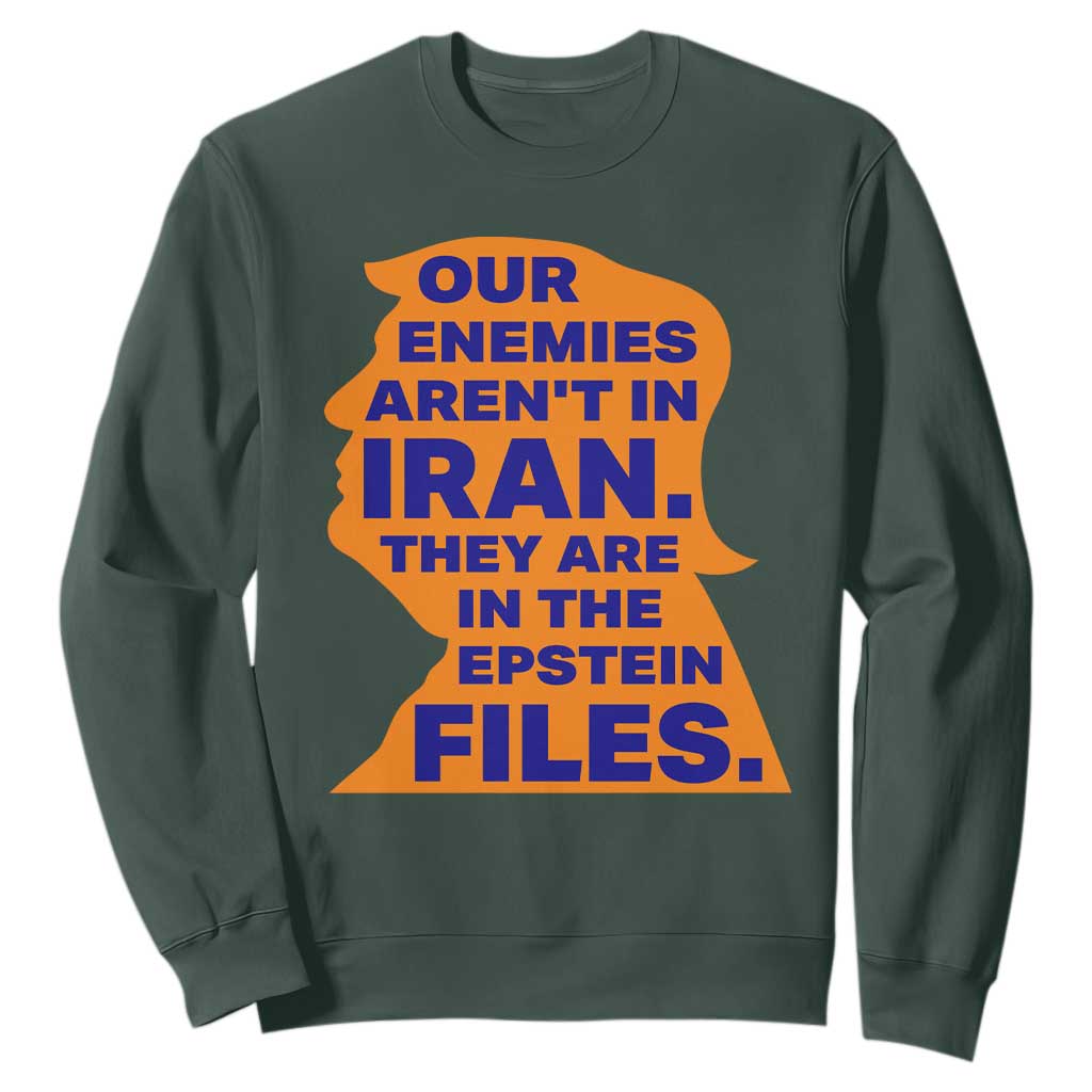 Our Enemies Aren't In Iran Sweatshirt Epstein Files Silhouette Political Satire TS02 Dark Forest Green Print Your Wear