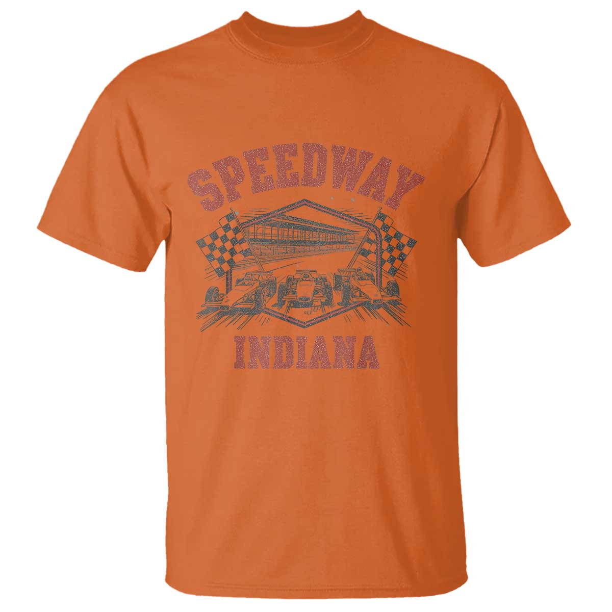 Indiana Speedway Slammer 2025 T Shirt Detention Prison Jail TS02 Orange Print Your Wear