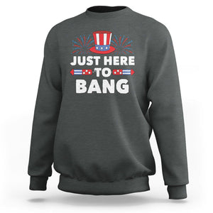 Funny 4th Of July Sweatshirt Just Here To Bang Fireworks Patriotic Independence Day TS02 Dark Heather Printyourwear