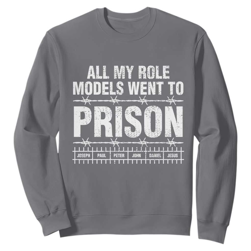 All My Role Models Went To Prison Sweatshirt Biblical History Heroes Faith Statement TS02 Charcoal Print Your Wear