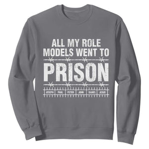 All My Role Models Went To Prison Sweatshirt Biblical History Heroes Faith Statement TS02 Charcoal Print Your Wear