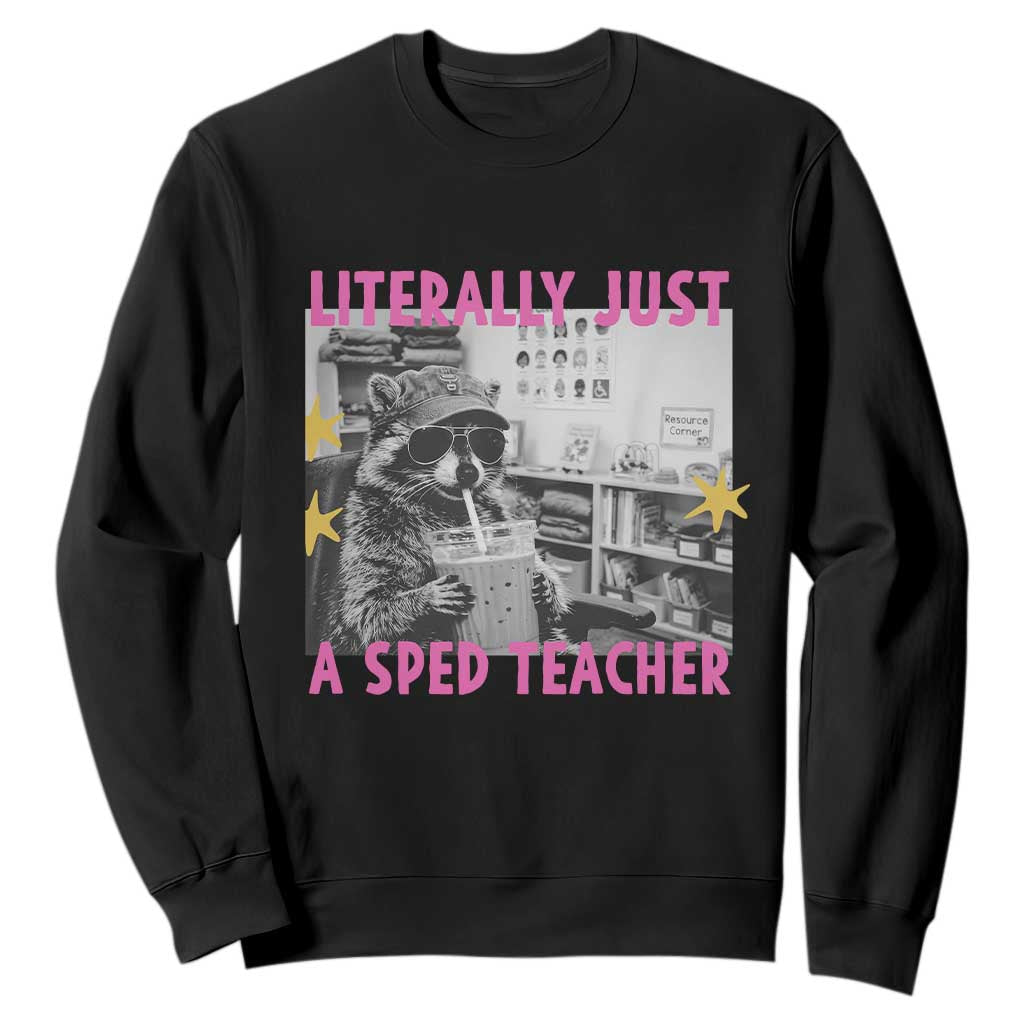 Literally Just A SPED Teacher Raccoon Drinking Iced Coffee Graphic Sweatshirt Special Education Classroom Humor