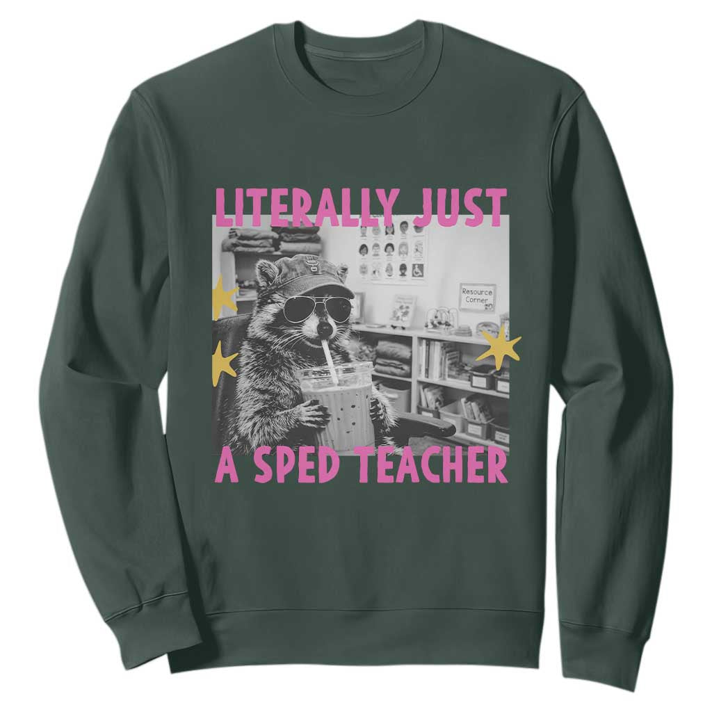 Literally Just A SPED Teacher Raccoon Drinking Iced Coffee Graphic Sweatshirt Special Education Classroom Humor