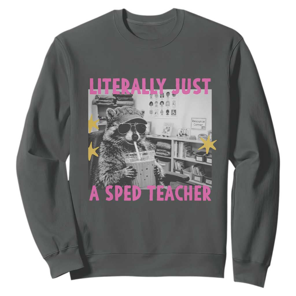 Literally Just A SPED Teacher Raccoon Drinking Iced Coffee Graphic Sweatshirt Special Education Classroom Humor