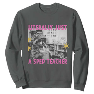Literally Just A SPED Teacher Raccoon Drinking Iced Coffee Graphic Sweatshirt Special Education Classroom Humor