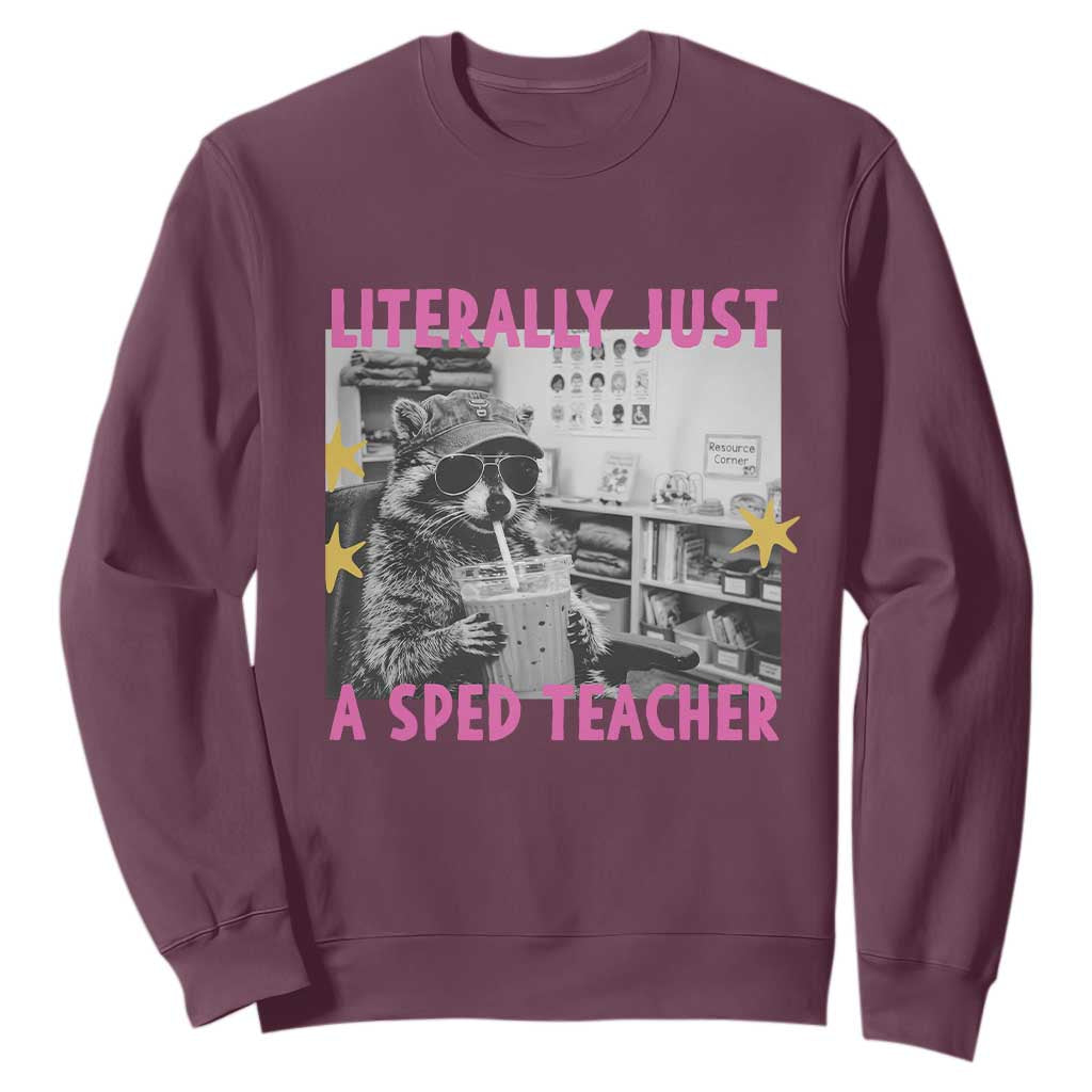 Literally Just A SPED Teacher Raccoon Drinking Iced Coffee Graphic Sweatshirt Special Education Classroom Humor