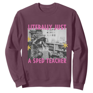 Literally Just A SPED Teacher Raccoon Drinking Iced Coffee Graphic Sweatshirt Special Education Classroom Humor