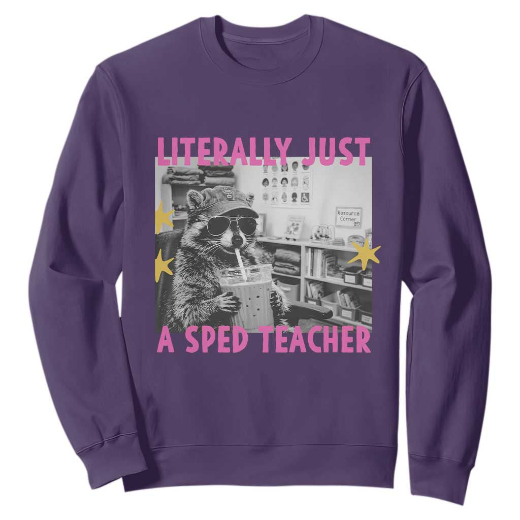 Literally Just A SPED Teacher Raccoon Drinking Iced Coffee Graphic Sweatshirt Special Education Classroom Humor