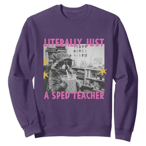 Literally Just A SPED Teacher Raccoon Drinking Iced Coffee Graphic Sweatshirt Special Education Classroom Humor