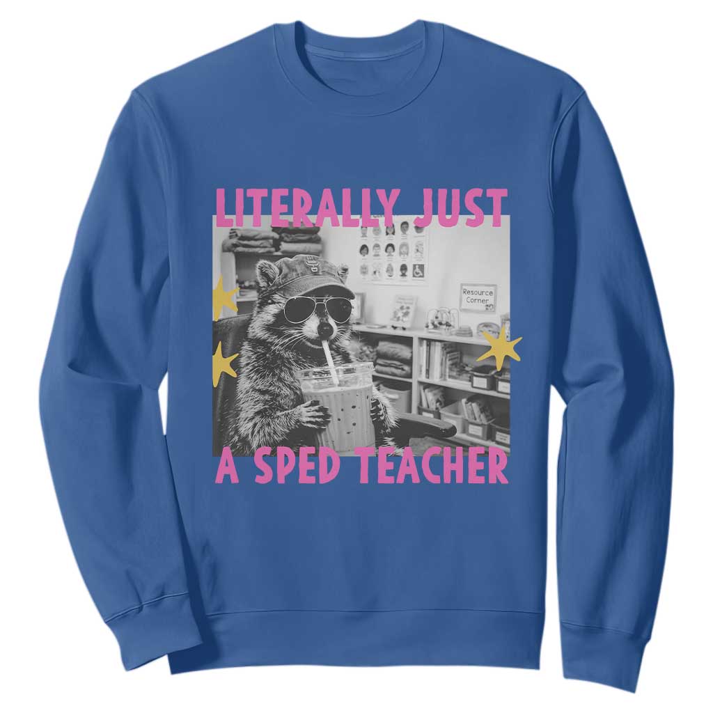 Literally Just A SPED Teacher Raccoon Drinking Iced Coffee Graphic Sweatshirt Special Education Classroom Humor