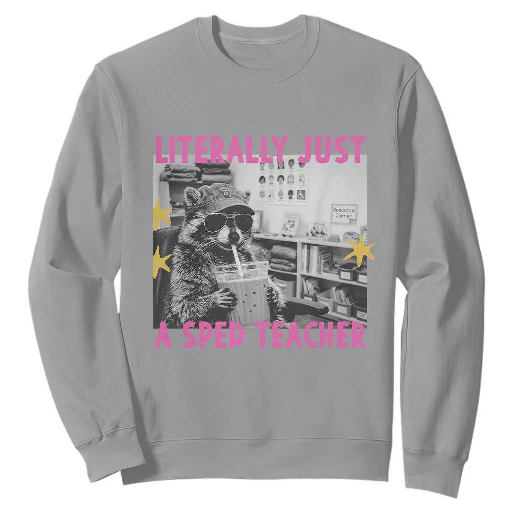 Literally Just A SPED Teacher Raccoon Drinking Iced Coffee Graphic Sweatshirt Special Education Classroom Humor