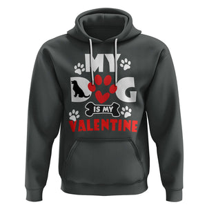 Dog Lover Hoodie My Dog Is My Valentine Pet Puddy TS02 Dark Heather Printyourwear