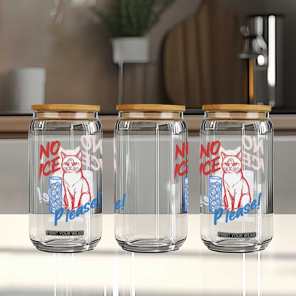 No Ice Please Angry Cat Graphic Glass Can Subtle Against Ice Protest Political Resistance TS02 Print Your Wear