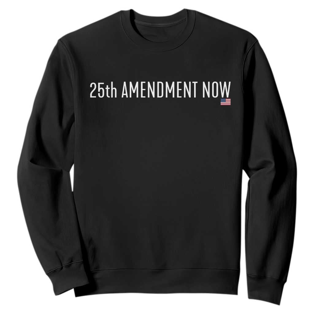 25th Amendment Now Minimalist Typography Graphic Sweatshirt Political Satire Patriotic American Flag TS02 Black Print Your Wear