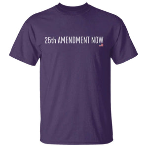 25th Amendment Now Minimalist Typography Graphic T Shirt Political Satire Patriotic American Flag TS02 Purple Print Your Wear