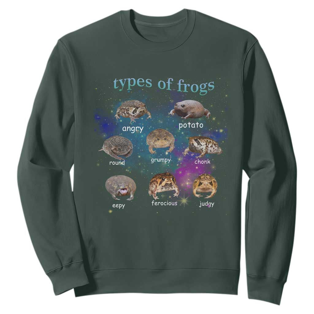 Types Of Frogs Funny Rain Frog Meme Chart Sweatshirt Angry Grumpy Eepy Chonk Potato Round Judgy Ferocious TS02 Dark Forest Green Print Your Wear