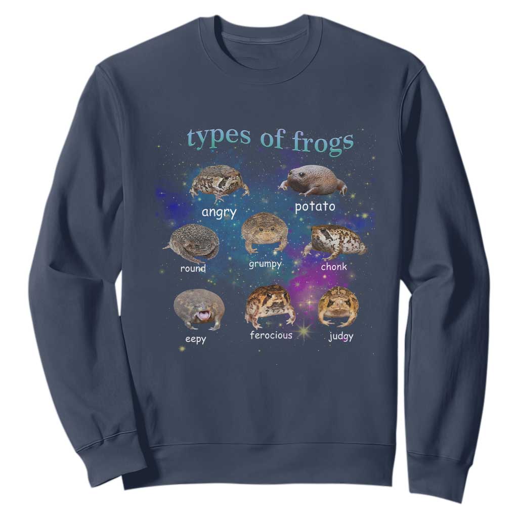 Types Of Frogs Funny Rain Frog Meme Chart Sweatshirt Angry Grumpy Eepy Chonk Potato Round Judgy Ferocious TS02 Navy Print Your Wear