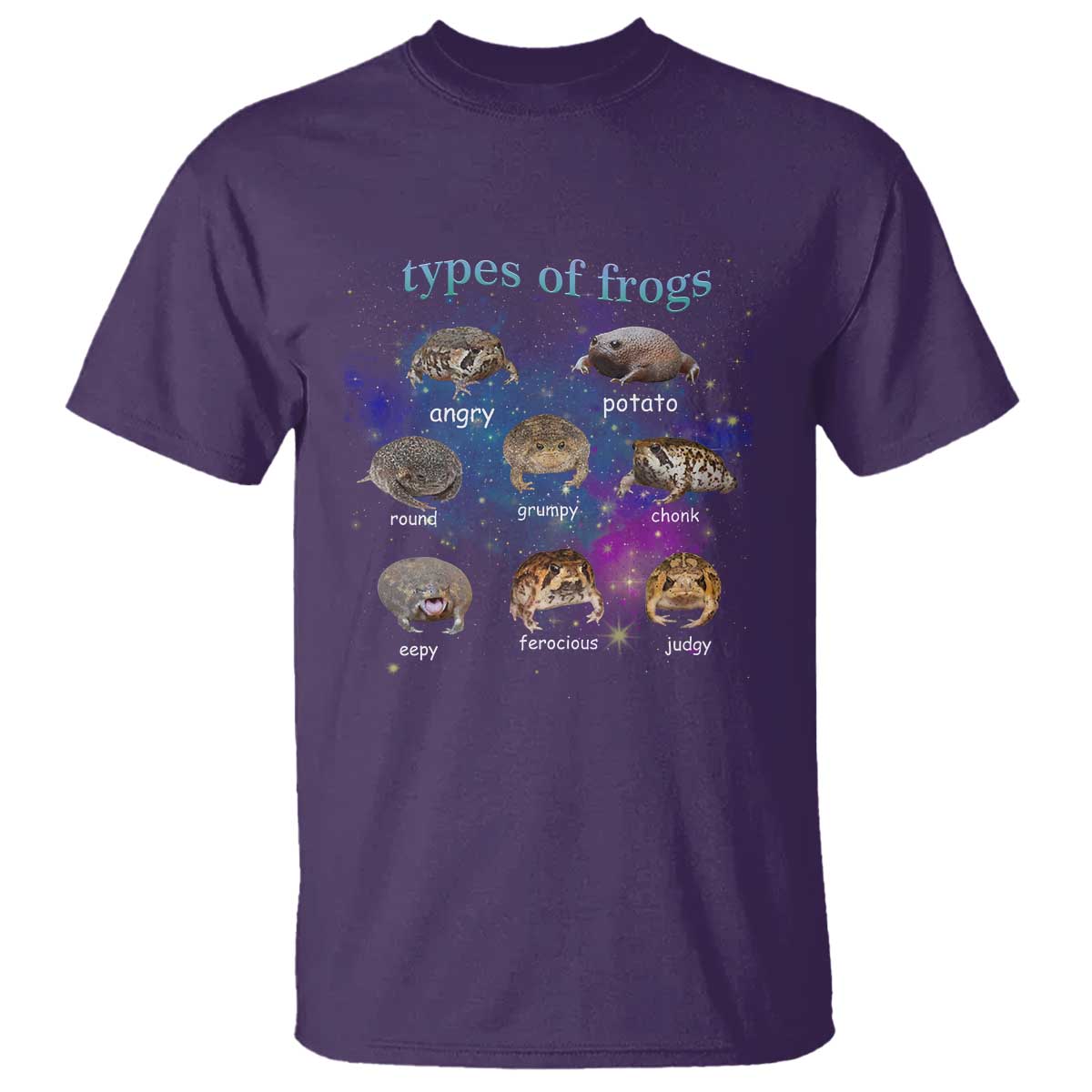 Types Of Frogs Funny Rain Frog Meme Chart T Shirt Angry Grumpy Eepy Chonk Potato Round Judgy Ferocious TS02 Purple Print Your Wear