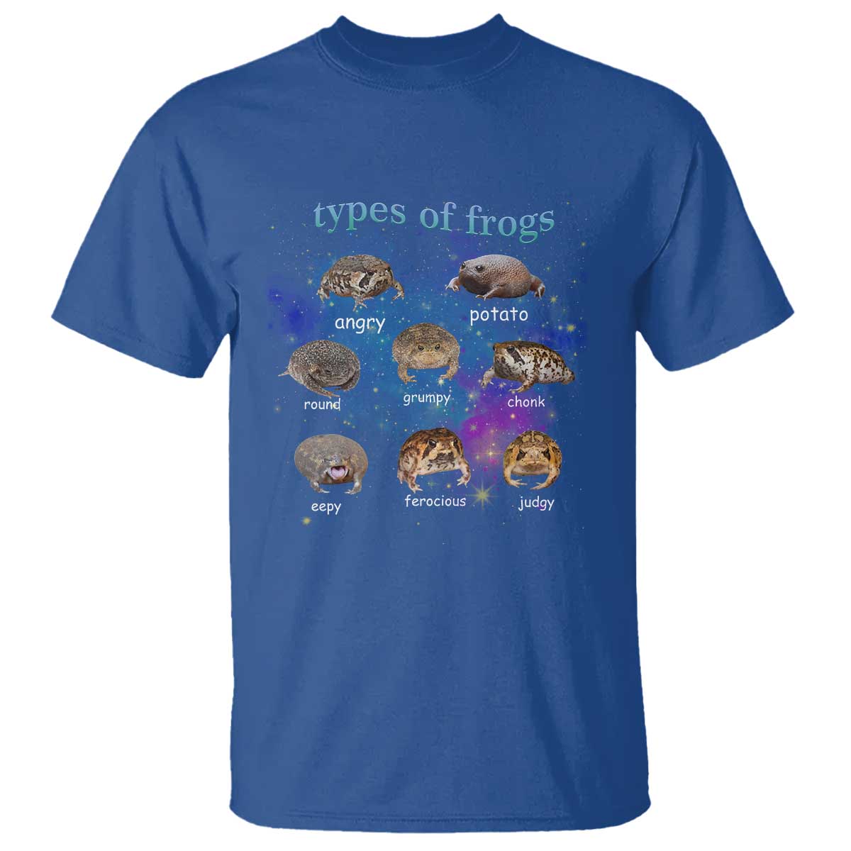 Types Of Frogs Funny Rain Frog Meme Chart T Shirt Angry Grumpy Eepy Chonk Potato Round Judgy Ferocious TS02 Royal Blue Print Your Wear