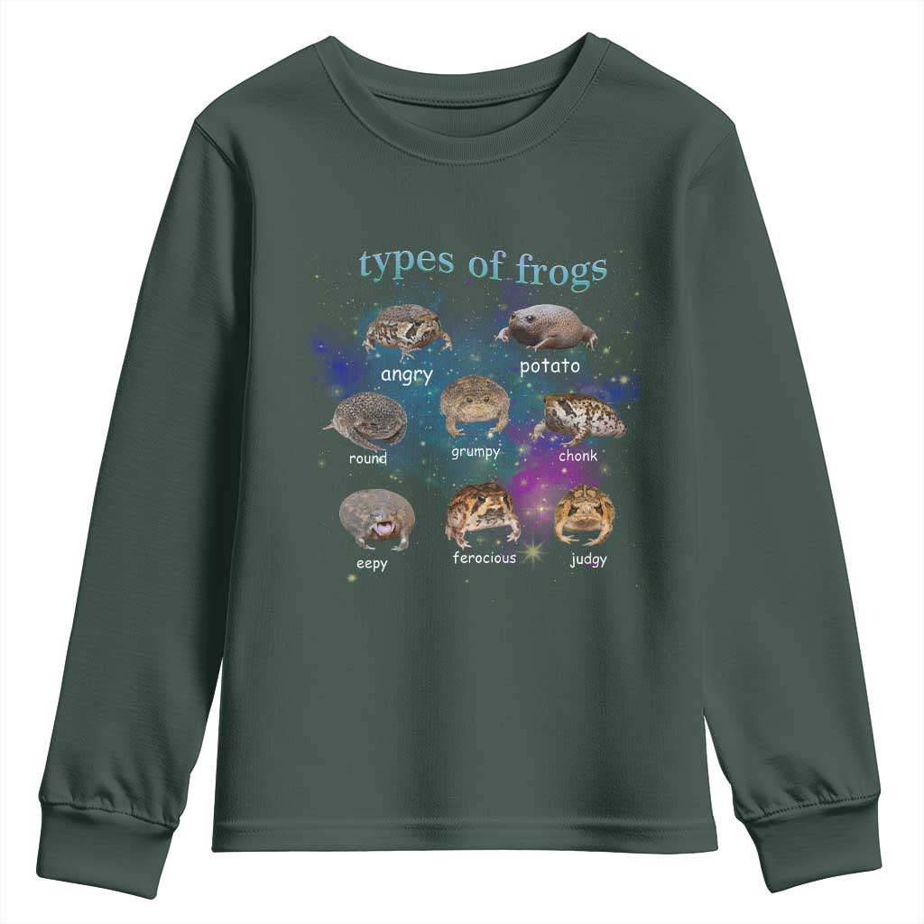 Types Of Frogs Funny Rain Frog Meme Chart Youth Sweatshirt Angry Grumpy Eepy Chonk Potato Round Judgy Ferocious TS02 Dark Forest Green Print Your Wear
