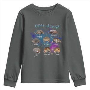 Types Of Frogs Funny Rain Frog Meme Chart Youth Sweatshirt Angry Grumpy Eepy Chonk Potato Round Judgy Ferocious TS02 Dark Heather Print Your Wear
