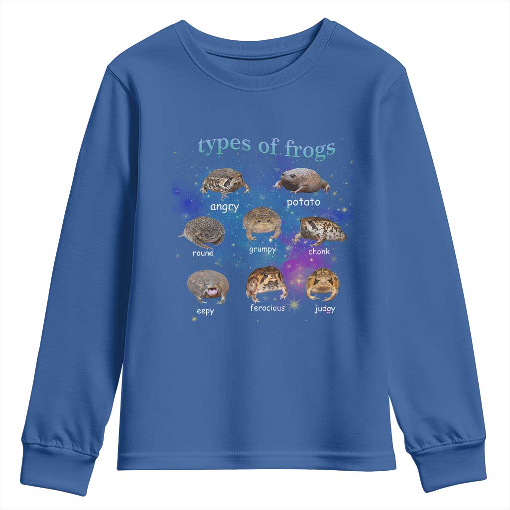 Types Of Frogs Funny Rain Frog Meme Chart Youth Sweatshirt Angry Grumpy Eepy Chonk Potato Round Judgy Ferocious TS02 Royal Blue Print Your Wear